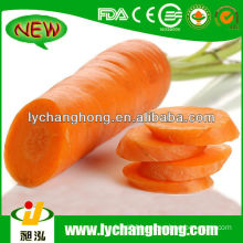 2014 Carrot Price